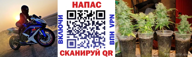 Купить наркотики Порхов Вейп ТГК ГАШ kraken tor Канабис