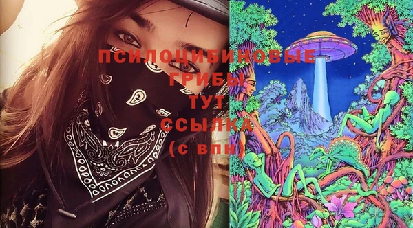 дмт Зеленокумск