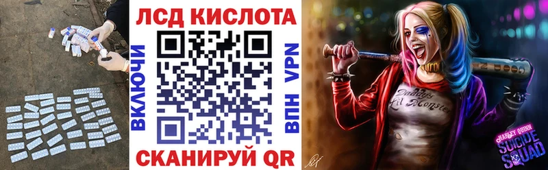 ЛСД экстази ecstasy  гидра маркетплейс  Порхов  где купить наркоту 